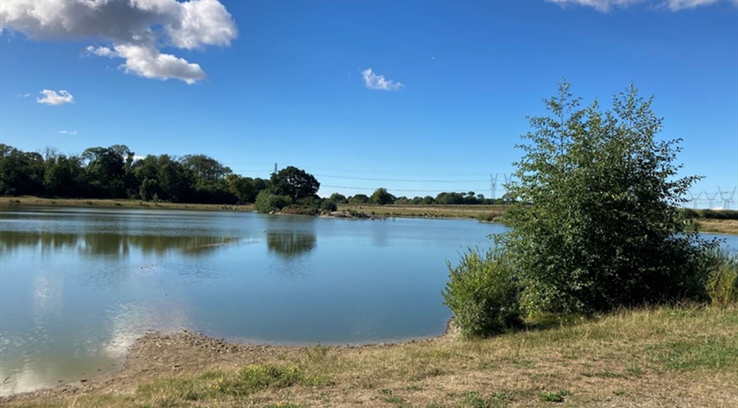 Glisholm Sø Odense